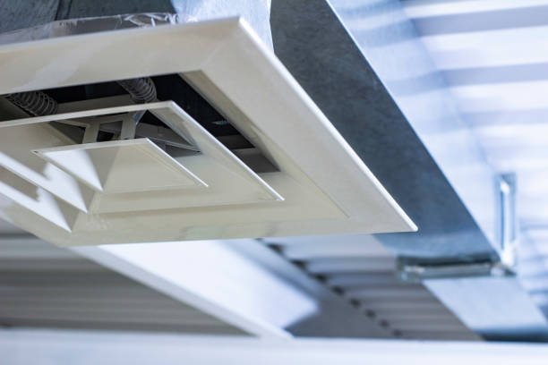 Best Home Air Vent Cleaning  in Champlin, MN