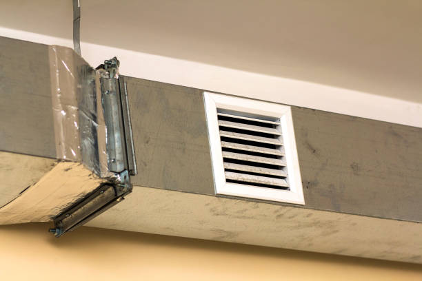Best HVAC Duct Inspection Services  in Champlin, MN